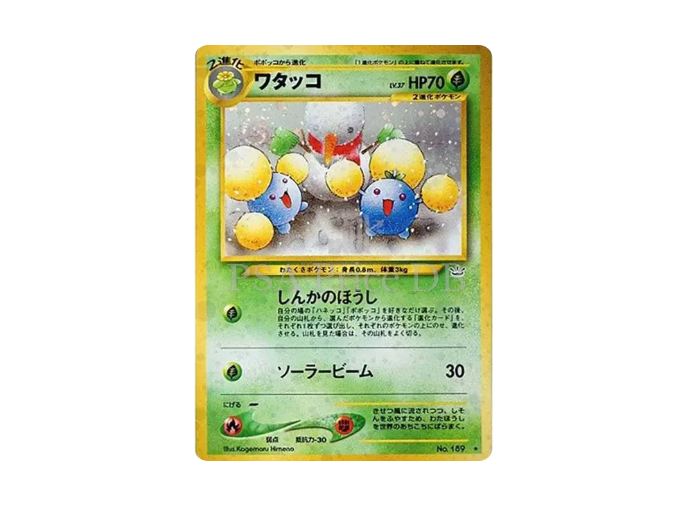 【2026-08-19】本日の値上がり・値下がりカード TOP10
